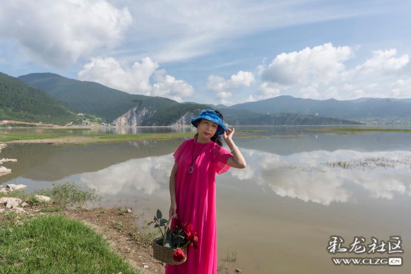 拿破仑：全面战争